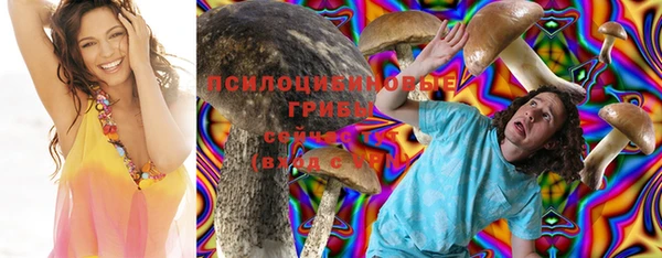 мдпв Арсеньев